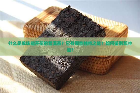 什么是单珠能开花的普洱茶？它有哪些独特之处？如何鉴别和冲泡？