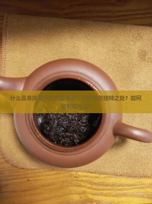 什么是单珠能开花的普洱茶？它有哪些独特之处？如何鉴别和冲泡？