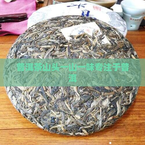 普洱茶山头一山一味专注于普洱