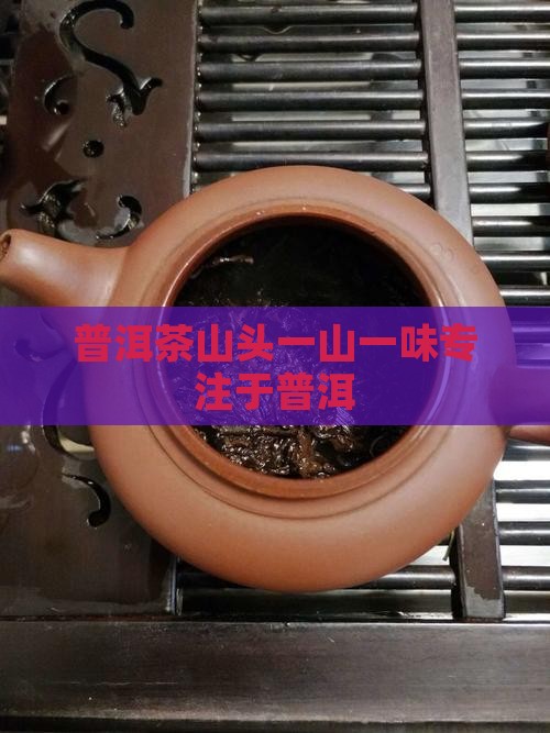 普洱茶山头一山一味专注于普洱