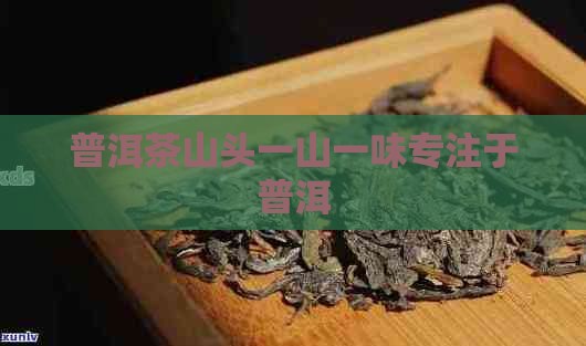 普洱茶山头一山一味专注于普洱