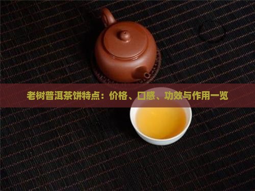 老树普洱茶饼特点：价格、口感、功效与作用一览