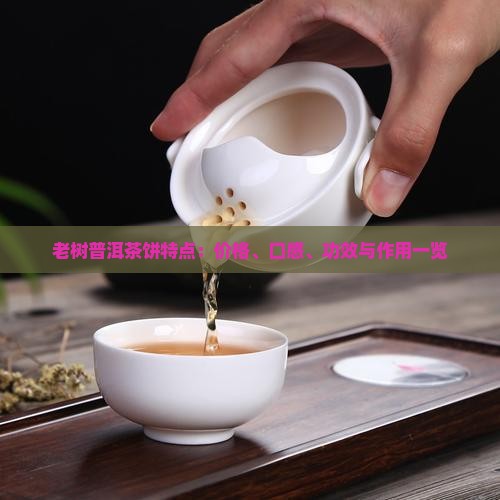 老树普洱茶饼特点：价格、口感、功效与作用一览