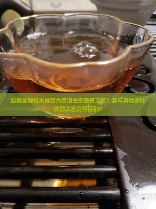 渥堆发酵技术是否为普洱生茶独有工艺？其与其他茶叶发酵工艺有何区别？