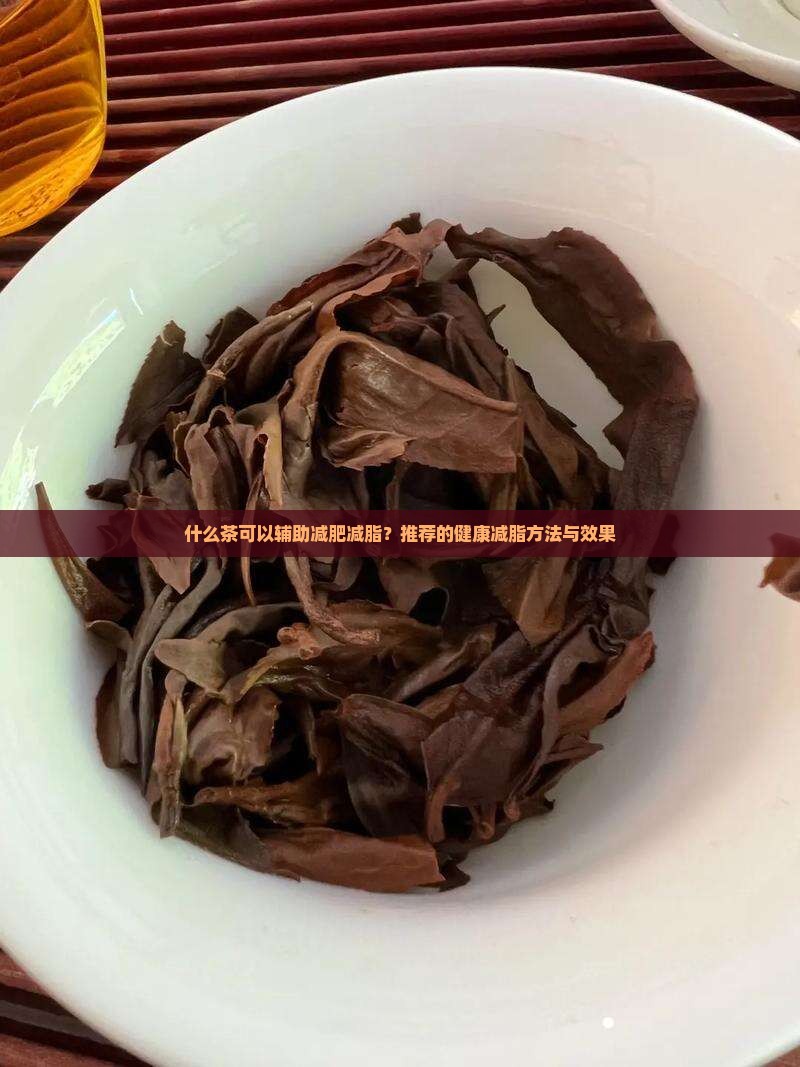 什么茶可以辅助减肥减脂？推荐的健康减脂方法与效果