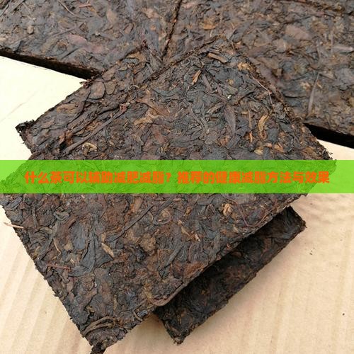 什么茶可以辅助减肥减脂？推荐的健康减脂方法与效果