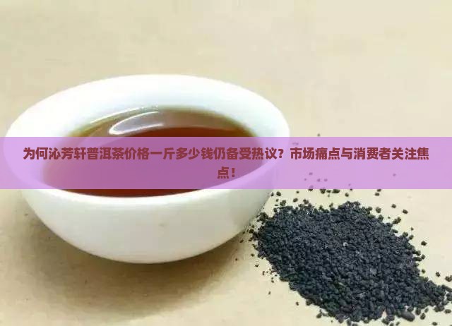 为何沁芳轩普洱茶价格一斤多少钱仍备受热议？市场痛点与消费者关注焦点！