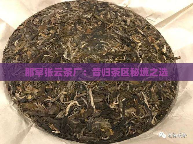 那罕张云茶厂：昔归茶区秘境之选