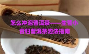 怎么冲泡普洱茶——生普小昔归普洱茶泡法指南