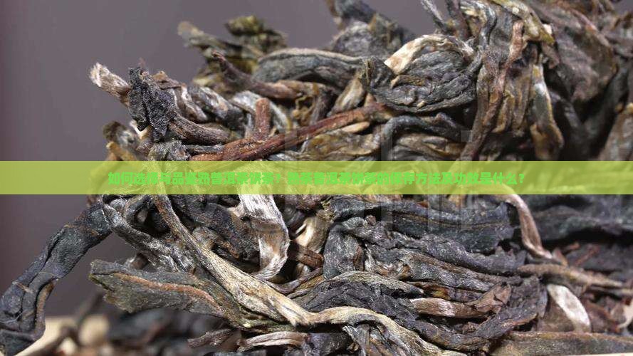 如何选择与品鉴熟普洱茶饼茶？熟茶普洱茶饼茶的保存方法及功效是什么？