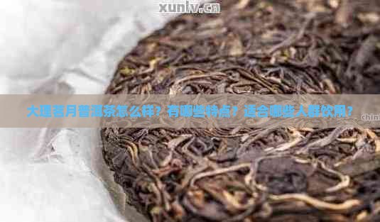 大理茗月普洱茶怎么样？有哪些特点？适合哪些人群饮用？
