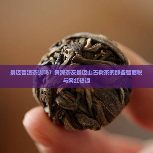 景迈普洱茶贵吗？资深茶友景迈山古树茶的那些智商税与网红热词