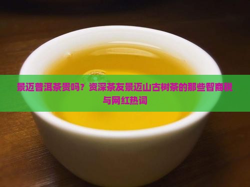 景迈普洱茶贵吗？资深茶友景迈山古树茶的那些智商税与网红热词