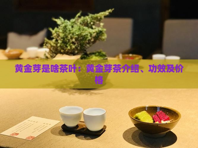 黄金芽是啥茶叶：黄金芽茶介绍、功效及价格