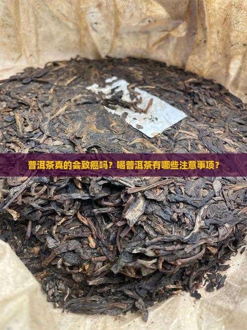 普洱茶真的会致癌吗？喝普洱茶有哪些注意事项？