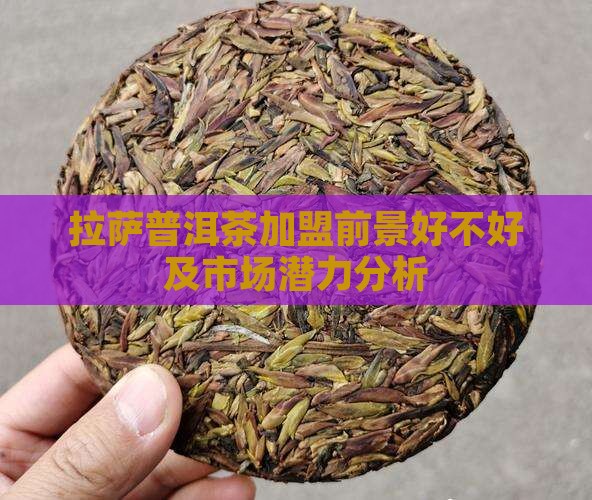 拉萨普洱茶加盟前景好不好及市场潜力分析