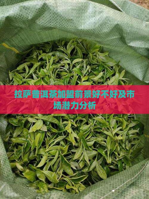 拉萨普洱茶加盟前景好不好及市场潜力分析