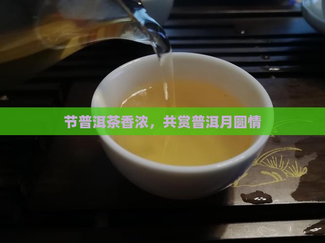 节普洱茶香浓，共赏普洱月圆情