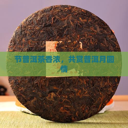 节普洱茶香浓，共赏普洱月圆情