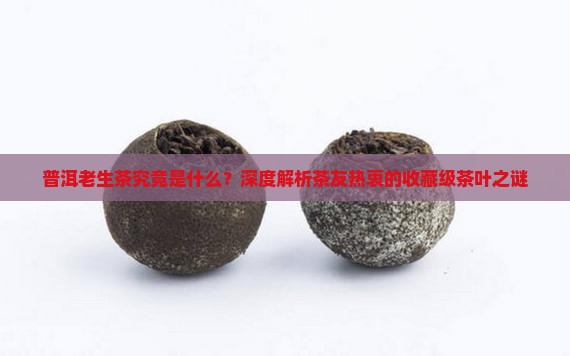 普洱老生茶究竟是什么？深度解析茶友热衷的收藏级茶叶之谜