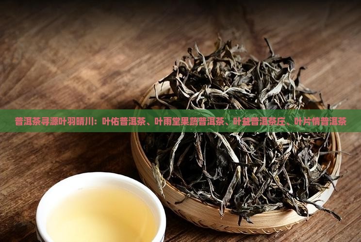 普洱茶寻源叶羽晴川：叶佑普洱茶、叶雨堂果蔬普洱茶、叶益普洱茶庄、叶片情普洱茶