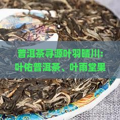 普洱茶寻源叶羽晴川：叶佑普洱茶、叶雨堂果蔬普洱茶、叶益普洱茶庄、叶片情普洱茶