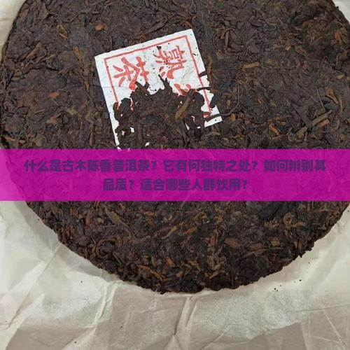 什么是古木陈香普洱茶？它有何独特之处？如何辨别其品质？适合哪些人群饮用？