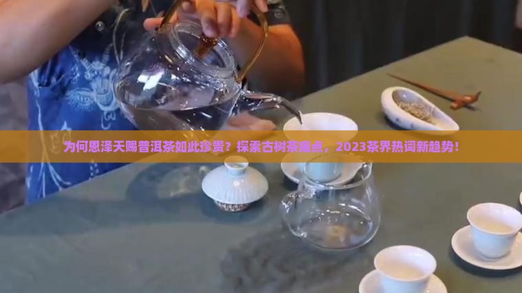 为何恩泽天赐普洱茶如此珍贵？探索古树茶痛点，2023茶界热词新趋势！