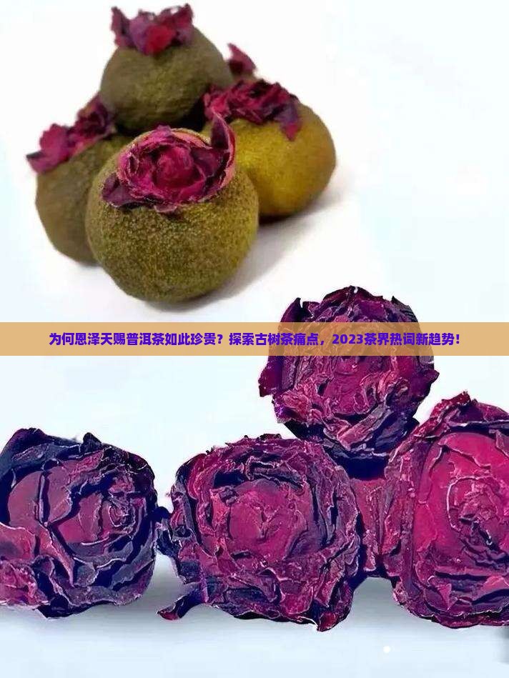为何恩泽天赐普洱茶如此珍贵？探索古树茶痛点，2023茶界热词新趋势！