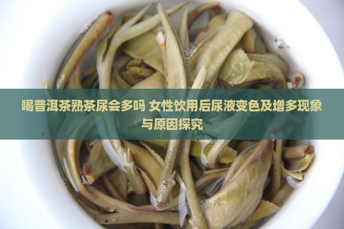 喝普洱茶熟茶尿会多吗 女性饮用后尿液变色及增多现象与原因探究