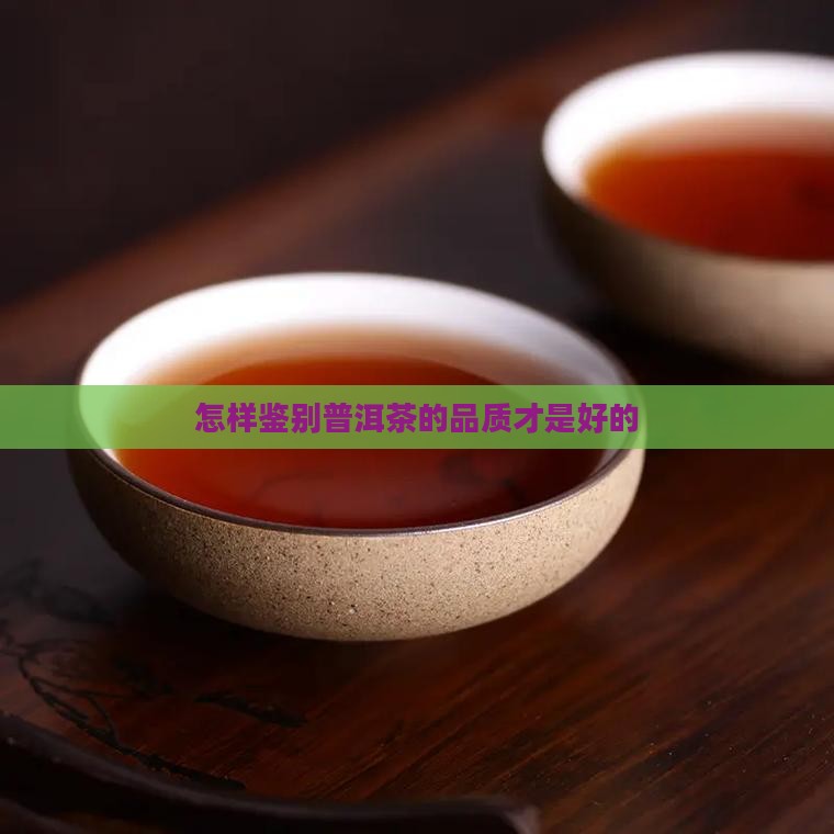 怎样鉴别普洱茶的品质才是好的