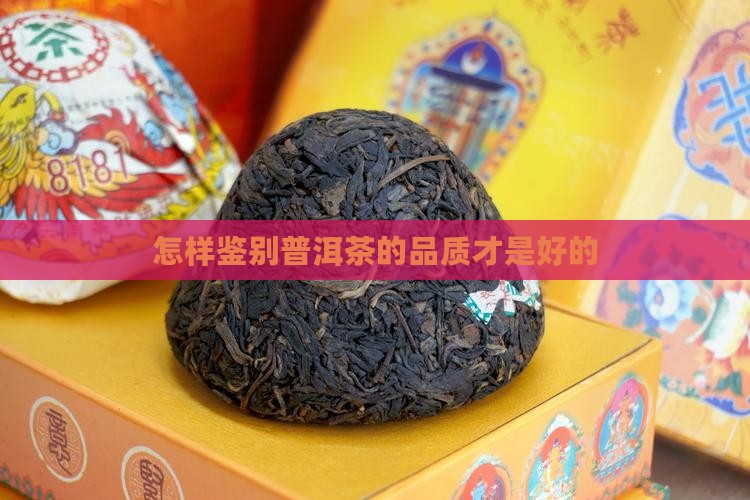 怎样鉴别普洱茶的品质才是好的