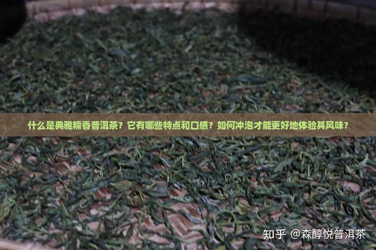 什么是典雅糯香普洱茶？它有哪些特点和口感？如何冲泡才能更好地体验其风味？