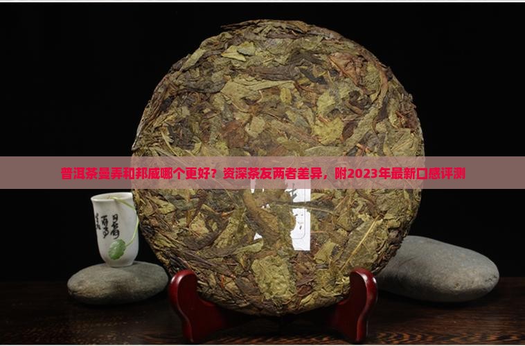 普洱茶曼弄和邦威哪个更好？资深茶友两者差异，附2023年最新口感评测