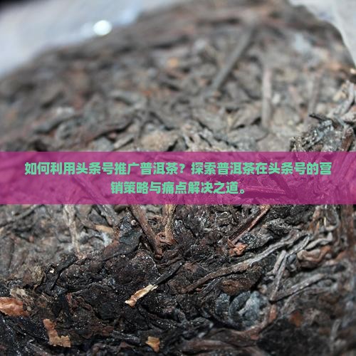 如何利用头条号推广普洱茶？探索普洱茶在头条号的营销策略与痛点解决之道。
