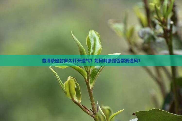 普洱茶密封多久打开透气？如何判断是否需要通风？