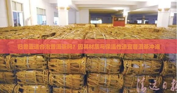 归兽壶适合泡普洱茶吗？因其材质与保温性适宜普洱茶冲泡