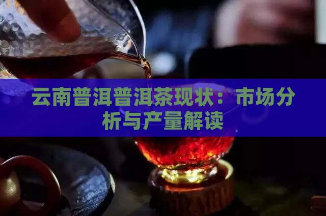 云南普洱普洱茶现状:市场分析与产量解读 云南普洱普洱茶现状:市场分析与产量解读