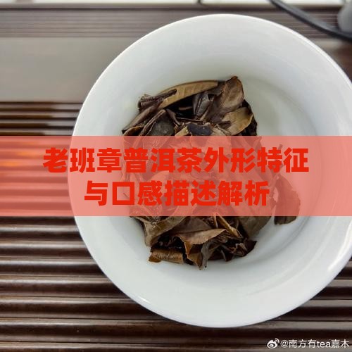 老班章普洱茶外形特征与口感描述解析