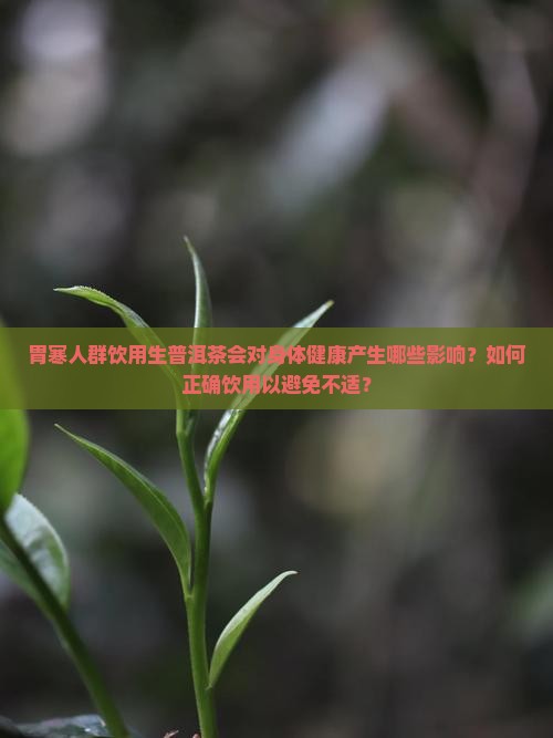 胃寒人群饮用生普洱茶会对身体健康产生哪些影响？如何正确饮用以避免不适？
