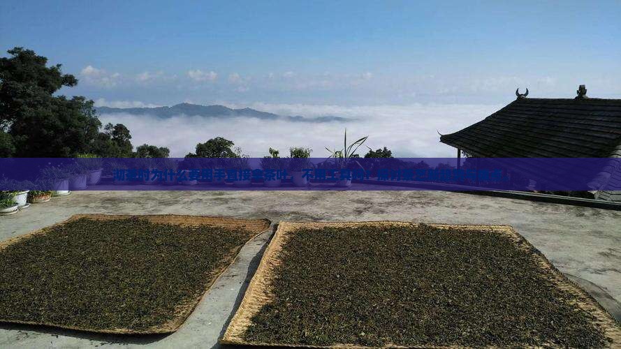 沏茶时为什么要用手直接拿茶叶，不用工具吗？探讨茶艺新趋势与痛点。