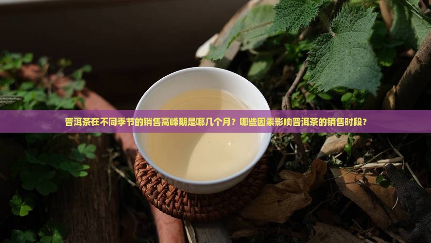 普洱茶在不同季节的销售高峰期是哪几个月？哪些因素影响普洱茶的销售时段？