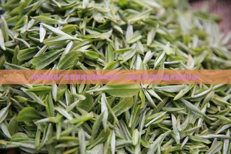 为何普洱茶厂生普茶成茶友热议焦点？传统工艺与现代痛点如何权衡？