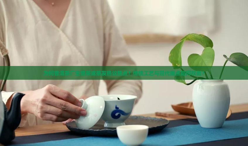 为何普洱茶厂生普茶成茶友热议焦点？传统工艺与现代痛点如何权衡？