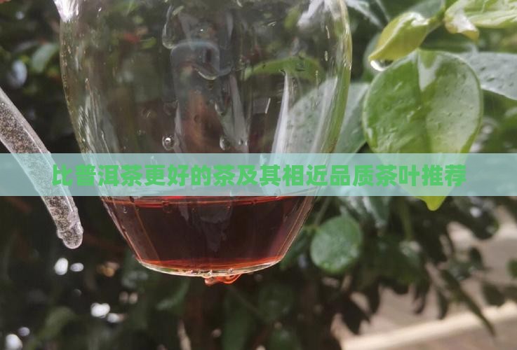 比普洱茶更好的茶及其相近品质茶叶推荐