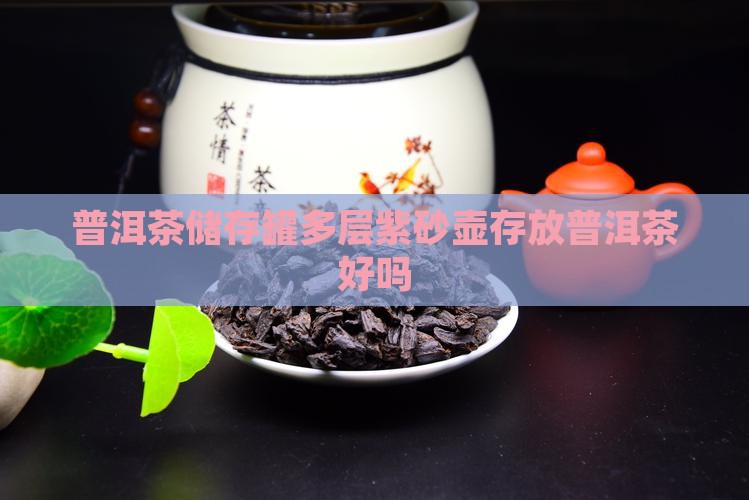 普洱茶储存罐多层紫砂壶存放普洱茶好吗