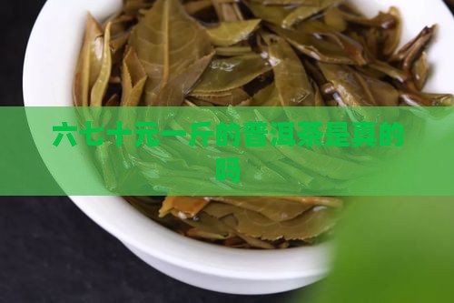 六七十元一斤的普洱茶是真的吗