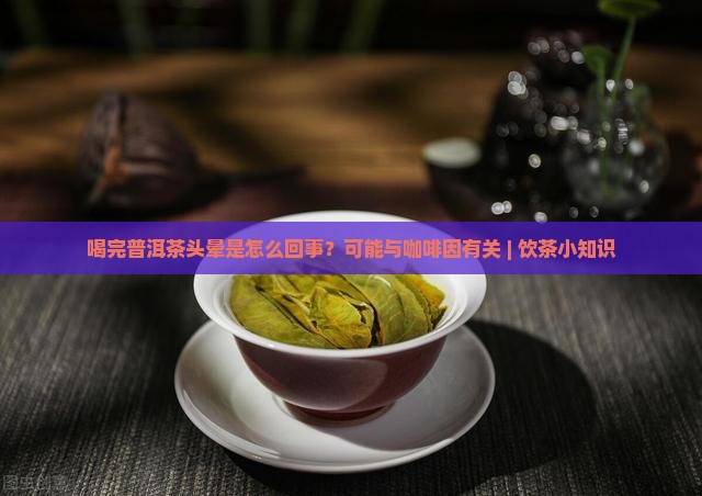 喝完普洱茶头晕是怎么回事？可能与咖啡因有关 | 饮茶小知识