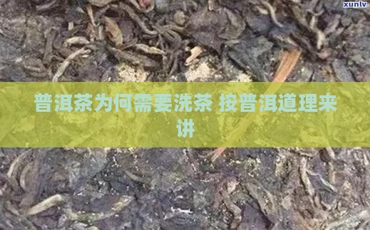 普洱茶为何需要洗茶 按普洱道理来讲
