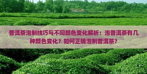 普洱茶泡制技巧与不同颜色变化解析：泡普洱茶有几种颜色变化？如何正确泡制普洱茶？